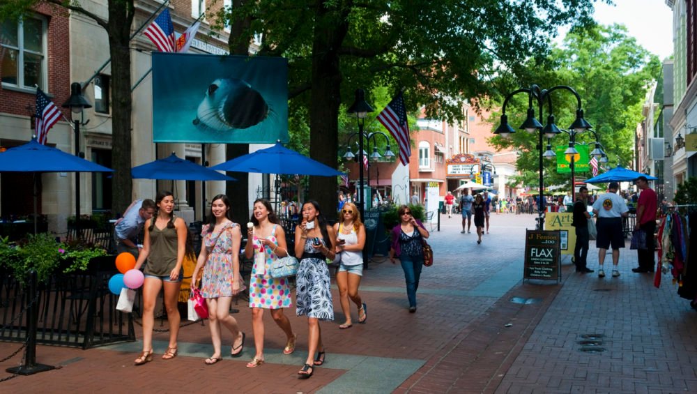City of Charlottesville Mosaic Real Estate Group